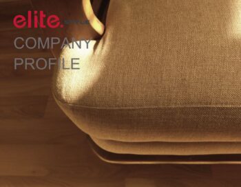 Company Profile 3